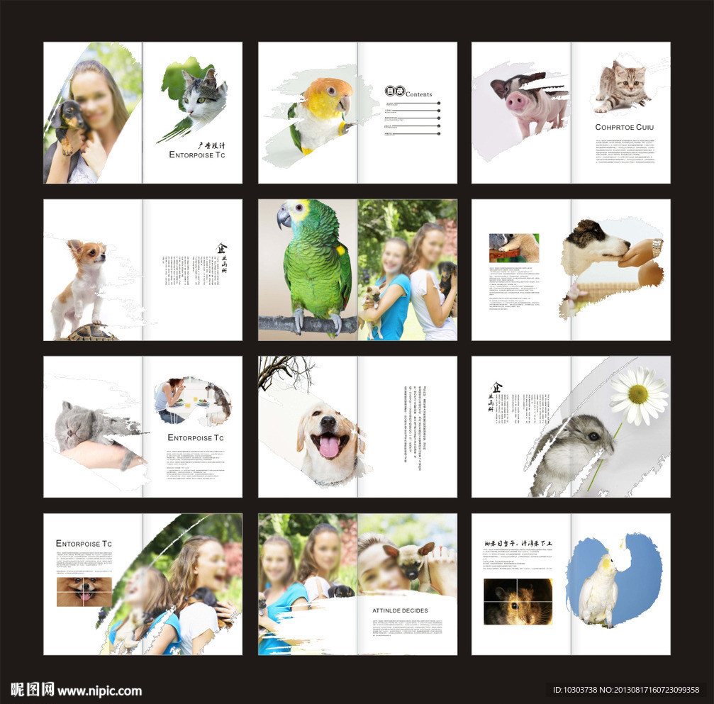 宠物画册