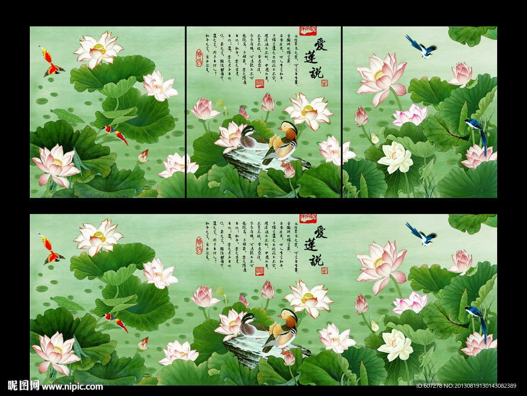 荷花