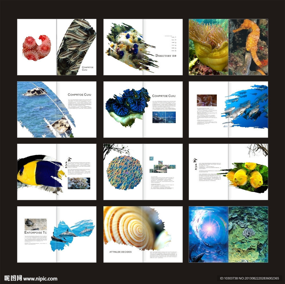海洋生物画册