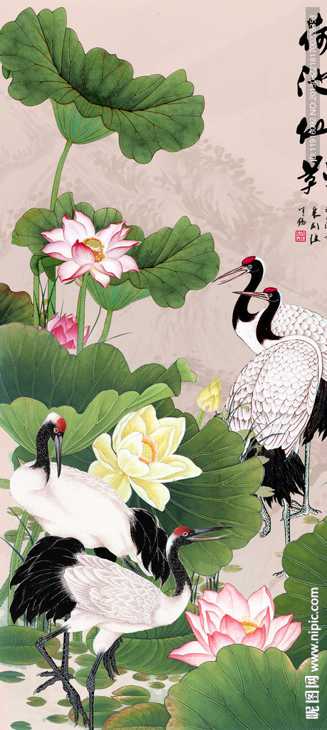 荷花