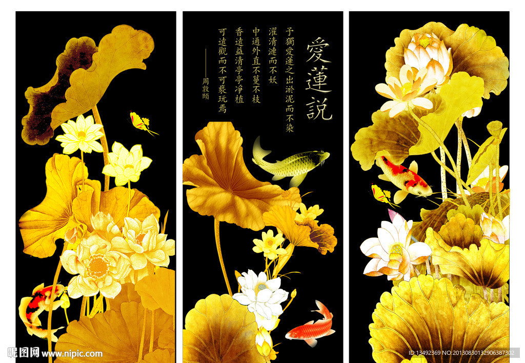 金色荷花