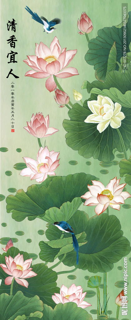 荷花