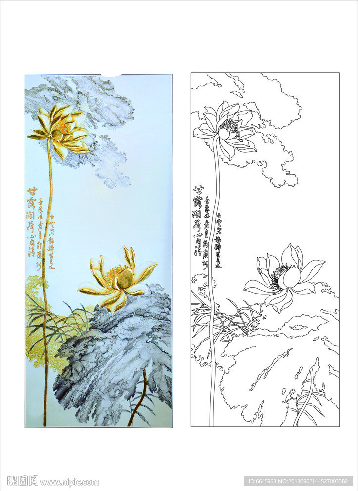 荷花