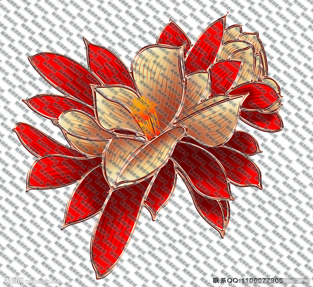 荷花