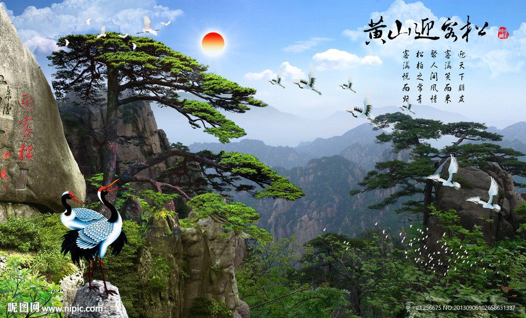黄山迎客松