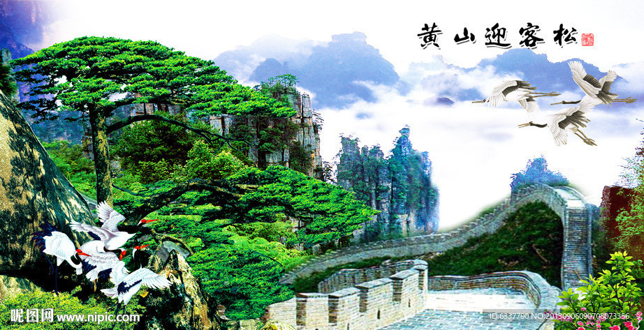 黄山迎客松
