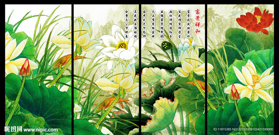 荷花