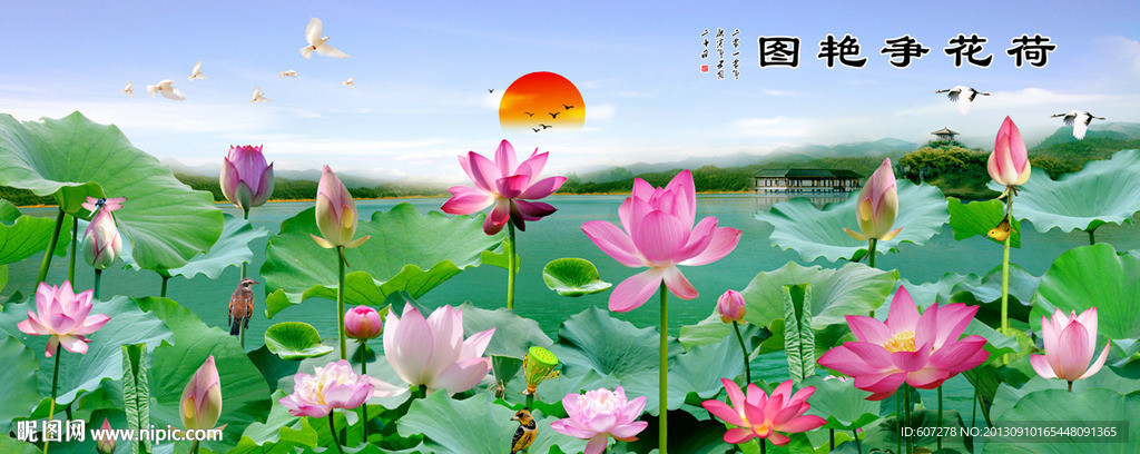 荷花