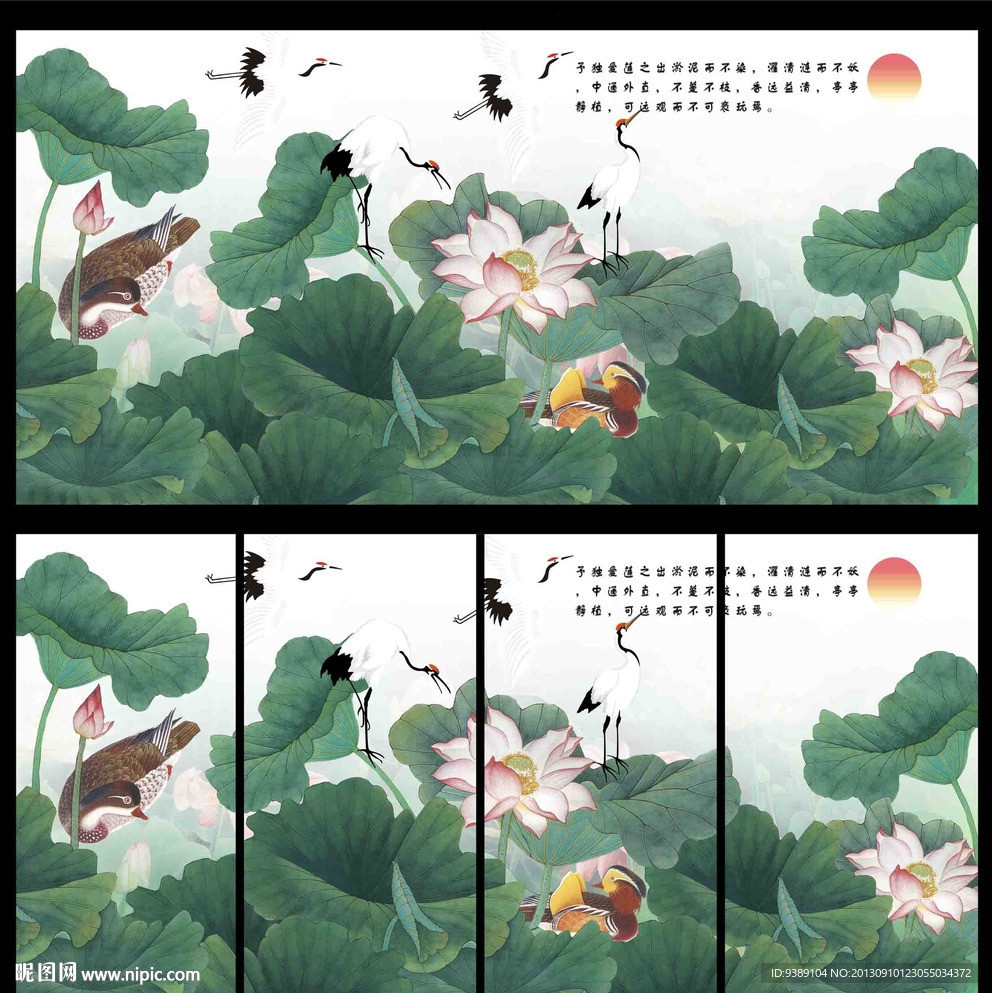 荷花
