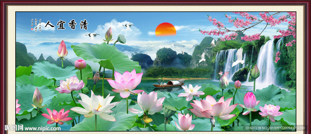 荷花
