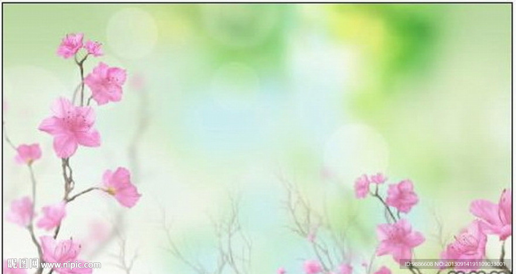 花开高清视频素材