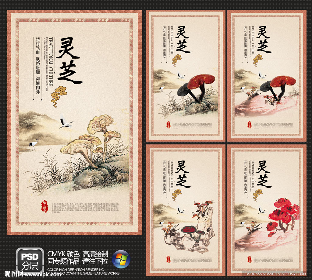 灵芝