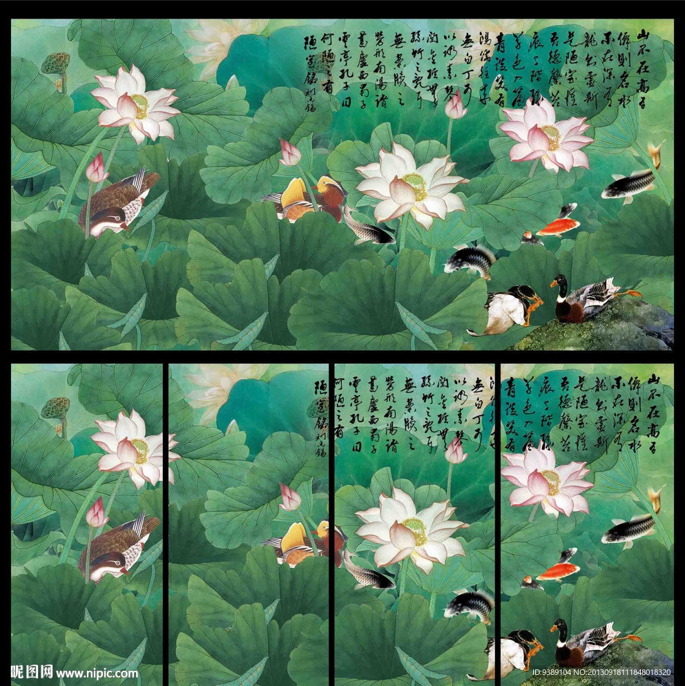 荷花