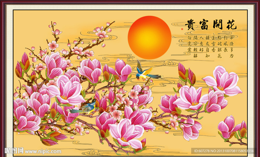 玉兰花