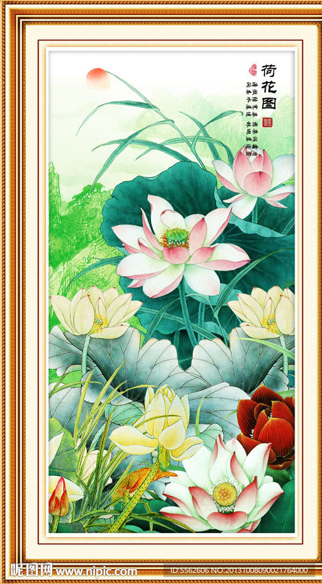 荷花