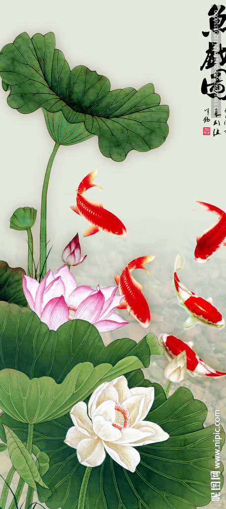 荷花