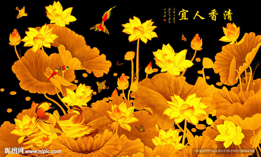 荷花