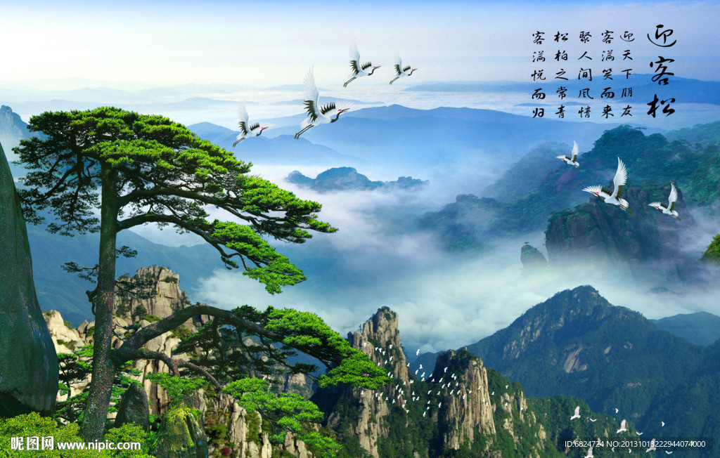 黄山迎客松