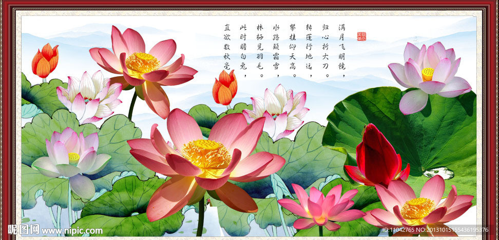 荷花风景