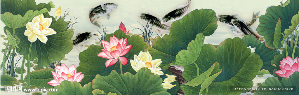 荷花