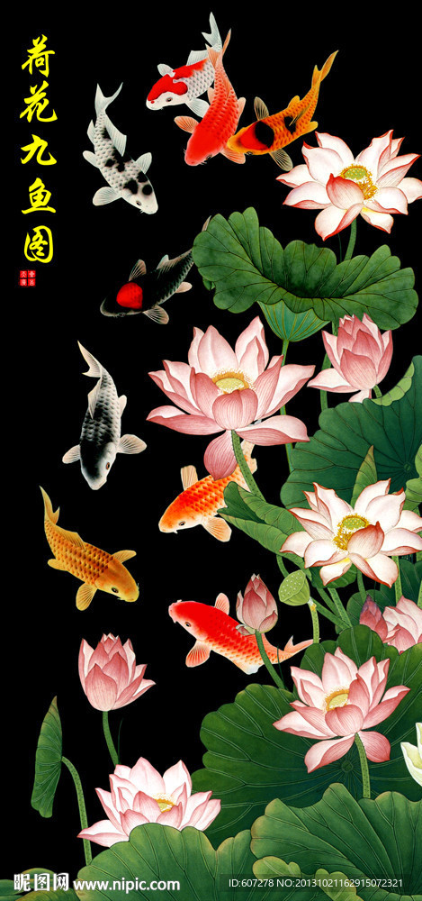 荷花 九鱼图