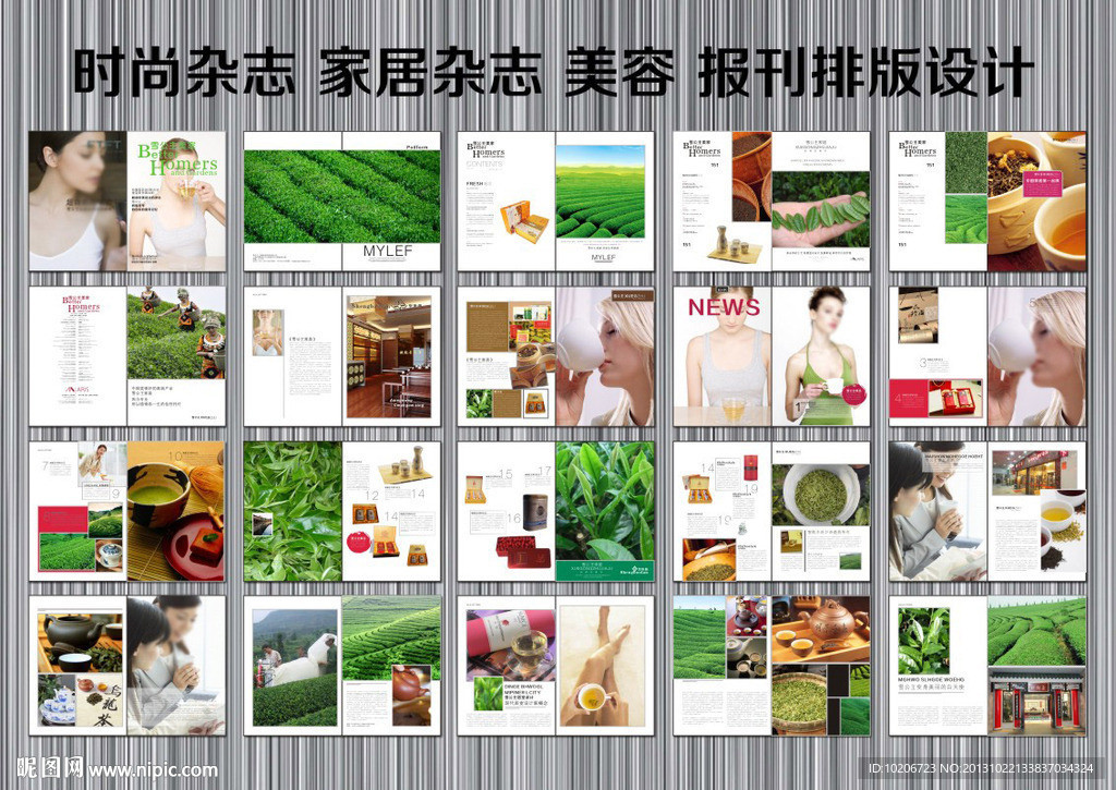 茶叶画册