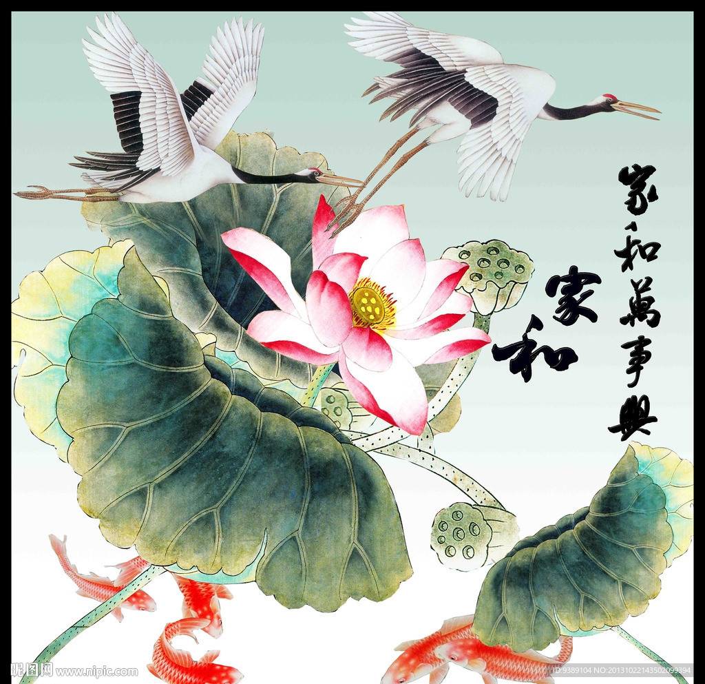 荷花