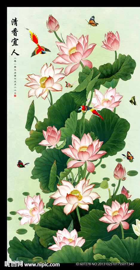 荷花