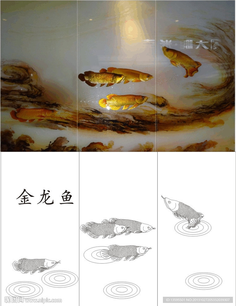 金龙鱼