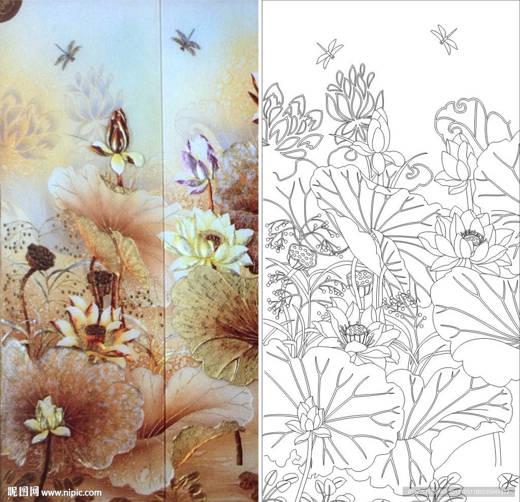 荷花 蜻蜓 莲花