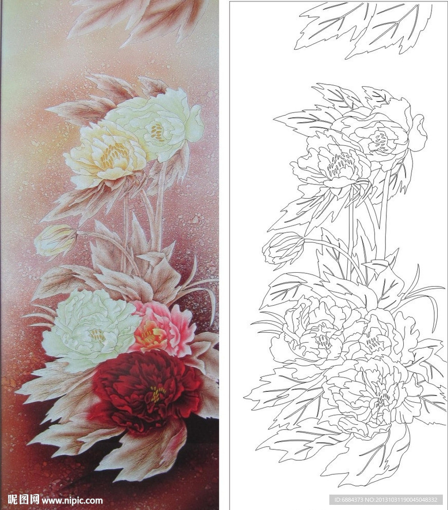 牡丹花 月季花 花