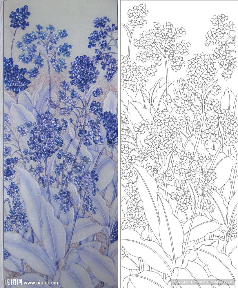紫色花 花