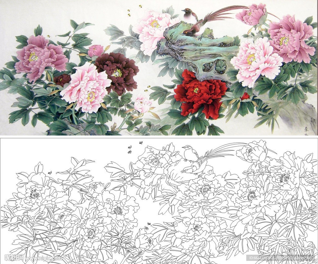 牡丹花 鸟 石头