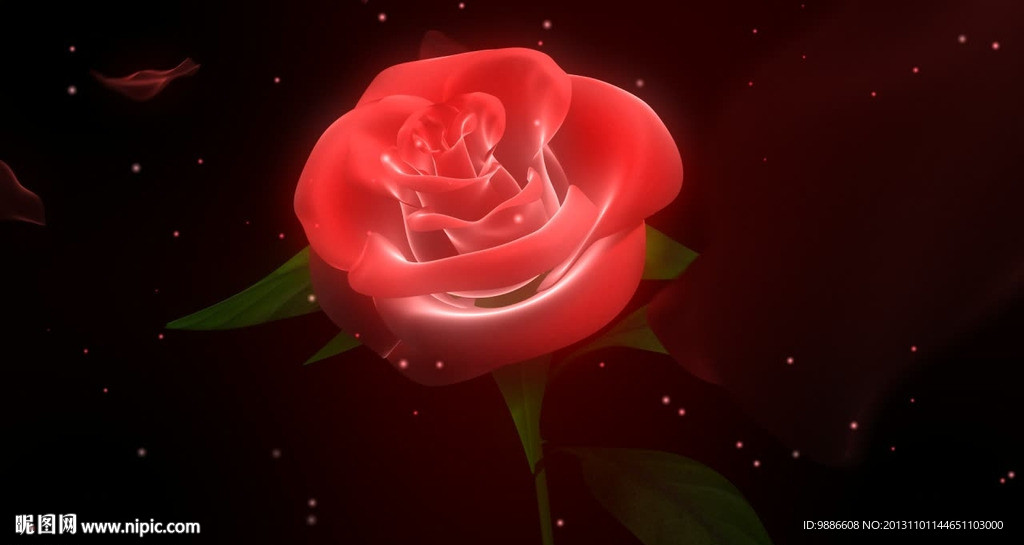 玫瑰旋转花瓣飘落视频