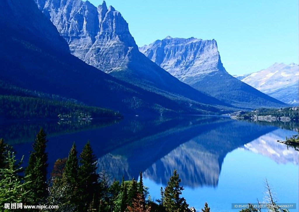 婚礼视频素材下载