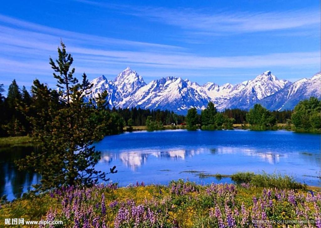 婚礼视频素材下载