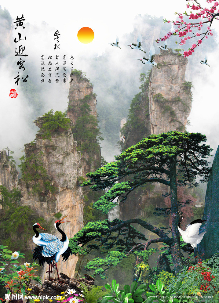 黄山迎客松