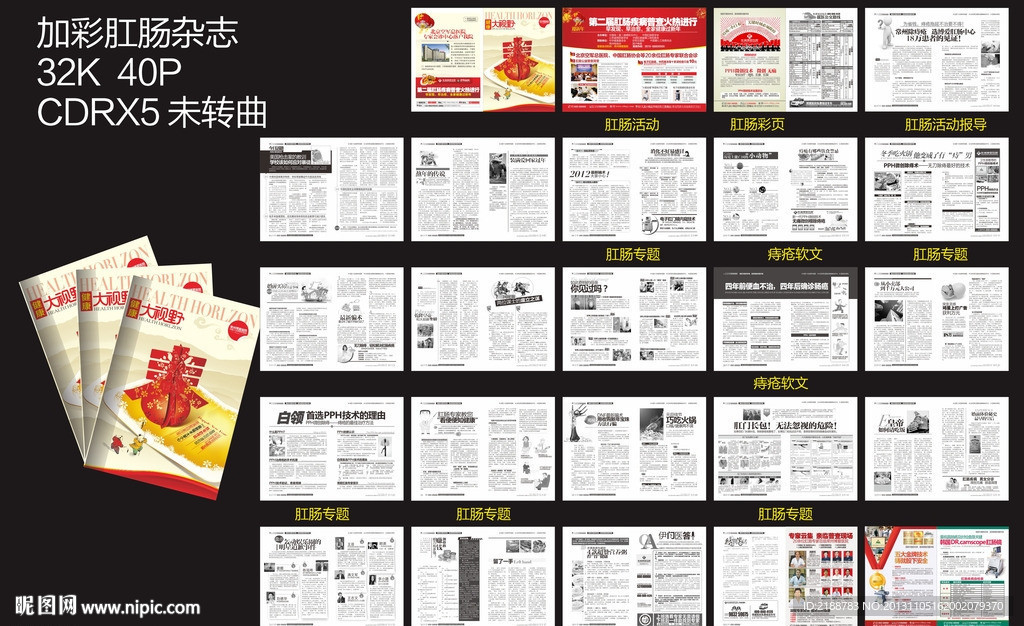 肛肠杂志