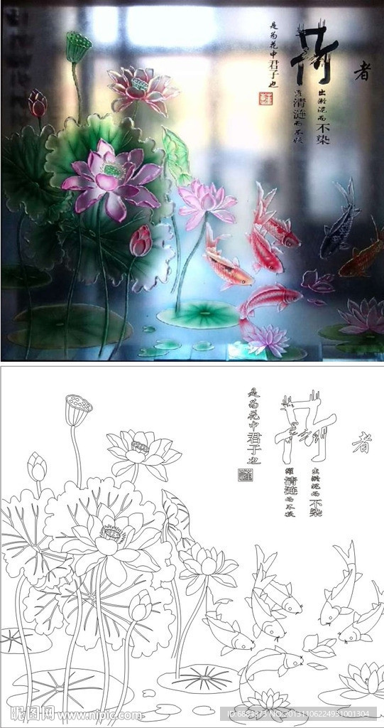 荷者 荷花 莲花 荷