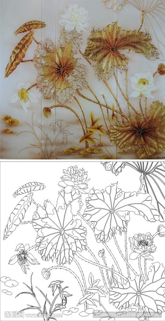 荷花 荷叶 莲花 金