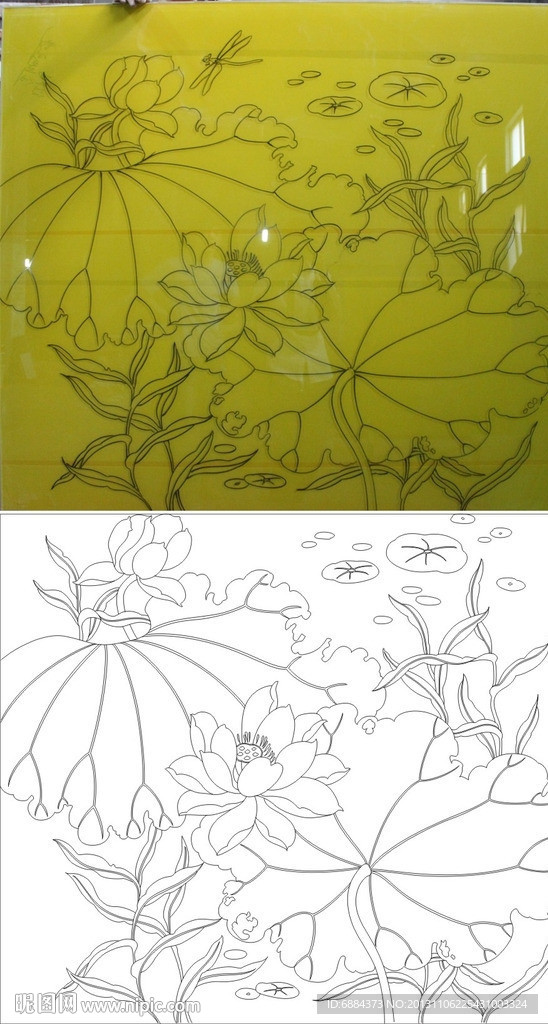 金荷 荷花 莲花 叶