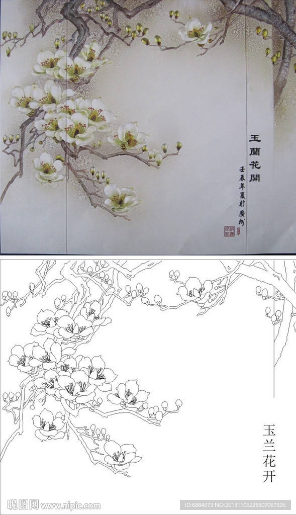 玉兰花开 玉兰 百合