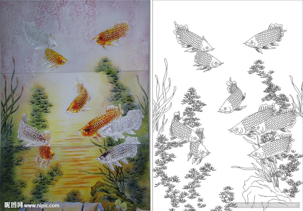 金龙鱼 水草 鱼