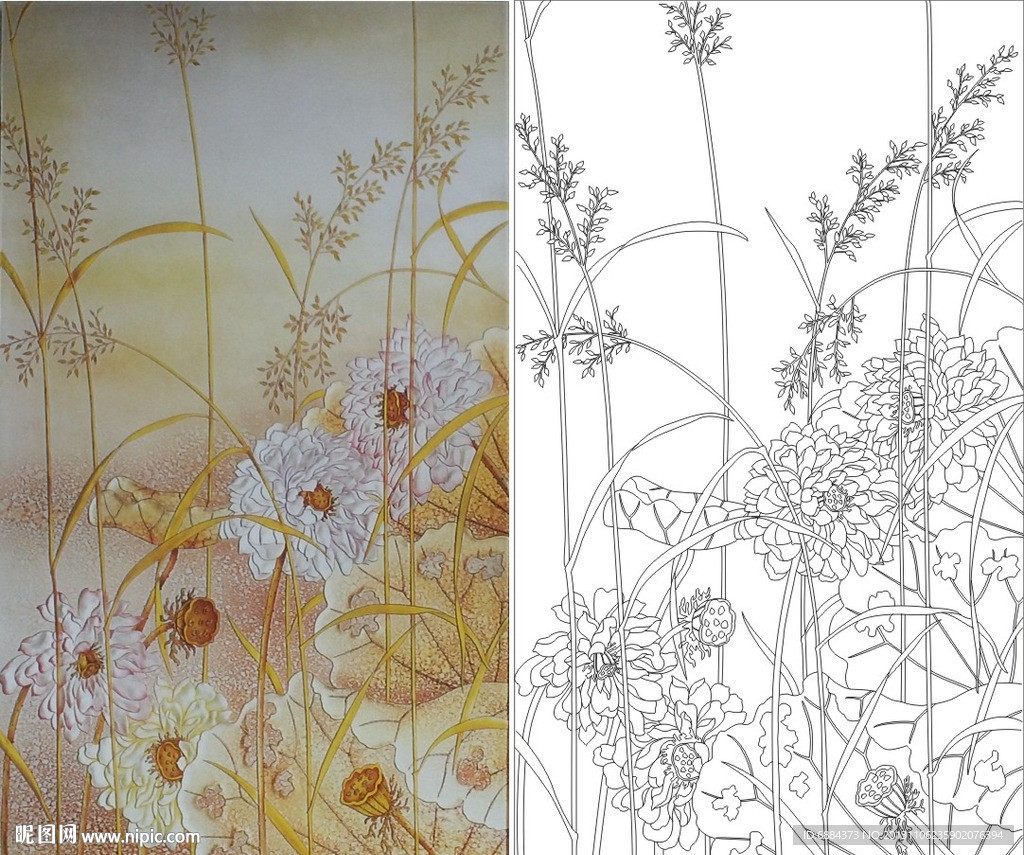 牡丹花 芦苇 莲花