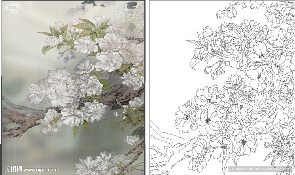 牡丹花 树