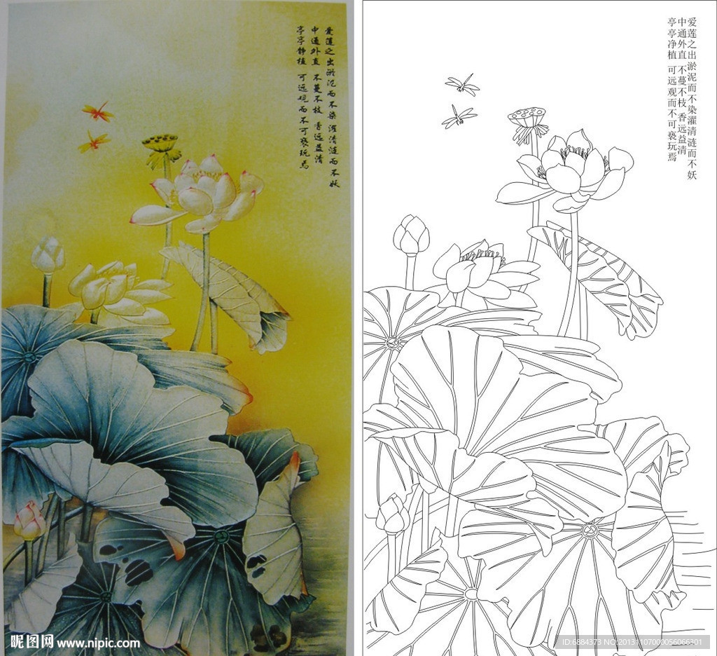 爱莲说 莲花 荷花