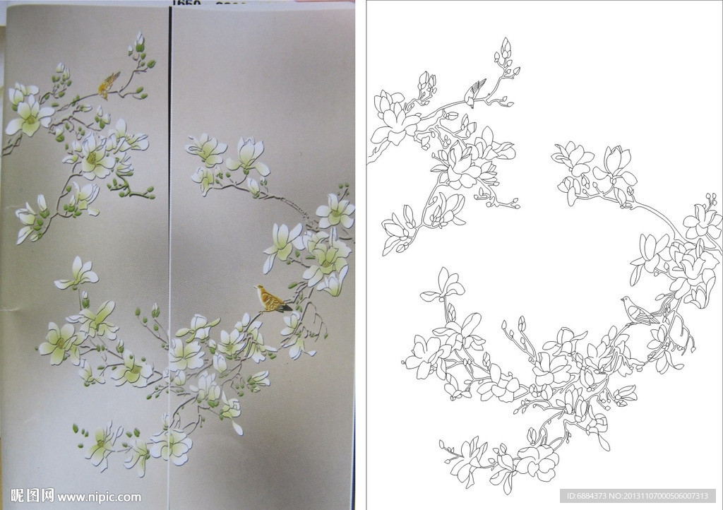 玉兰花 小鸟 兰花