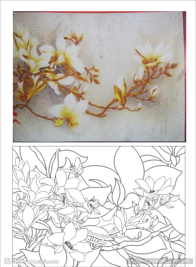 玉兰花