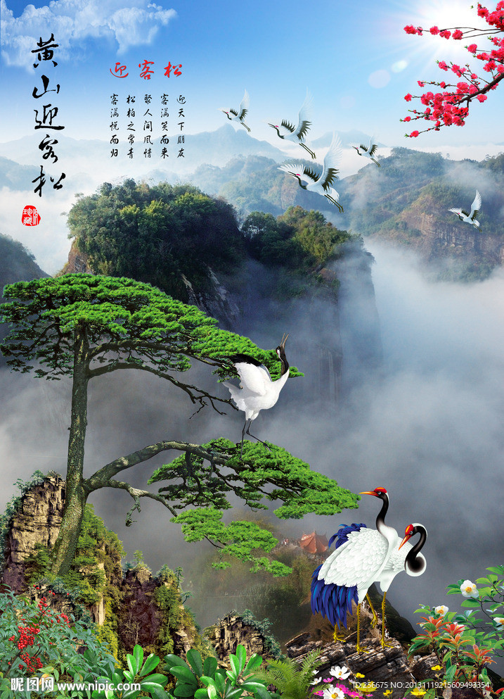 黄山迎客松