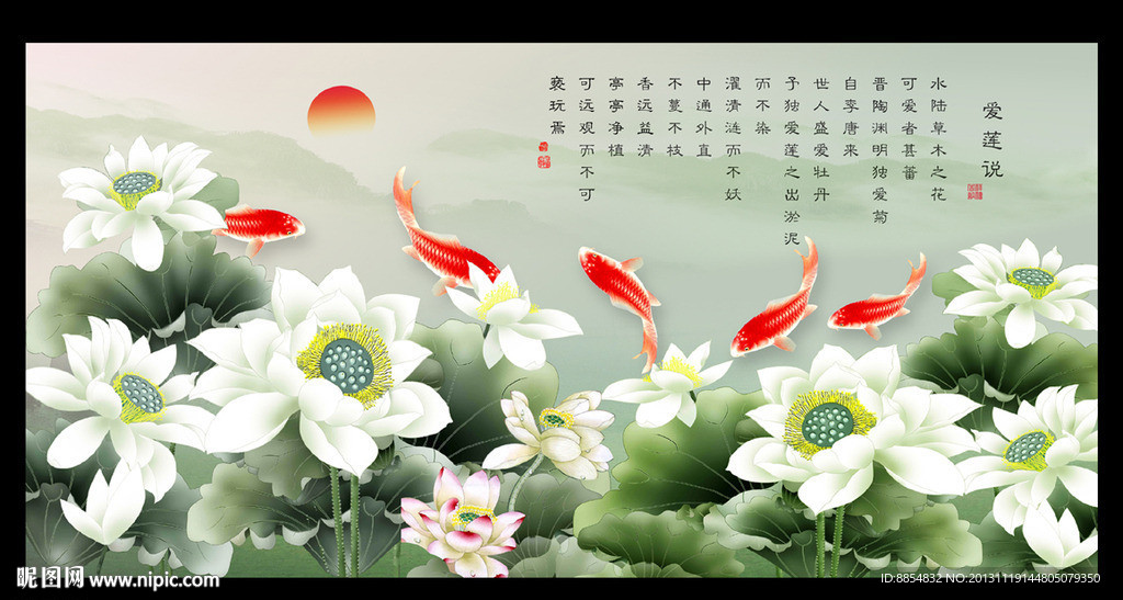 荷花